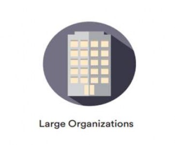 Large Organisations category 326x2703